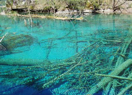 Průzračná voda Jiuzhaigou